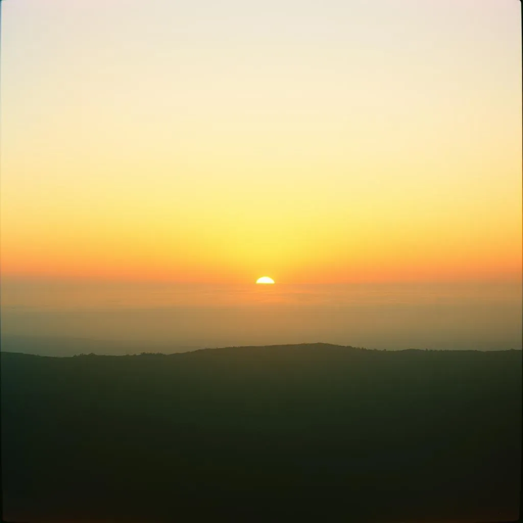 Grace in the Morning