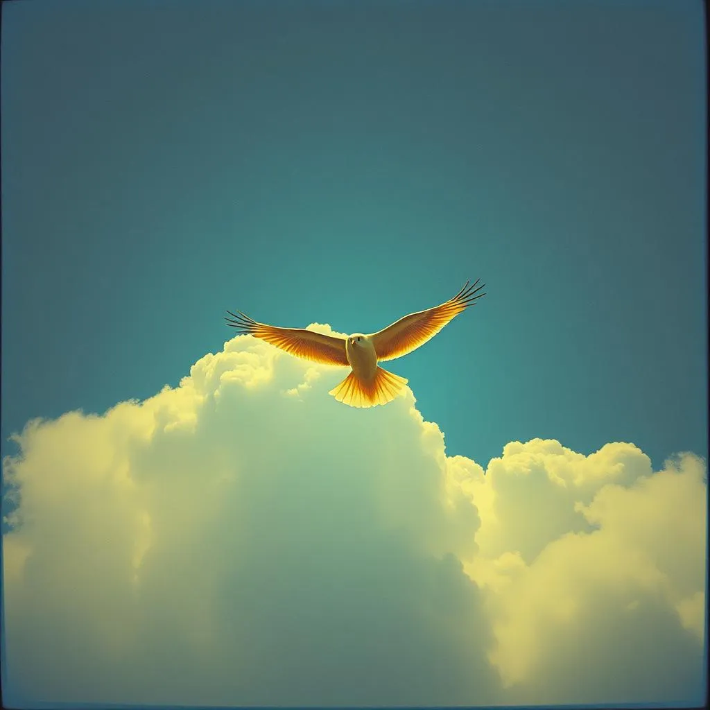 I am free