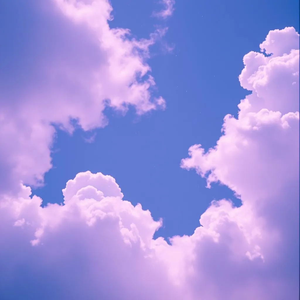 Violet Love