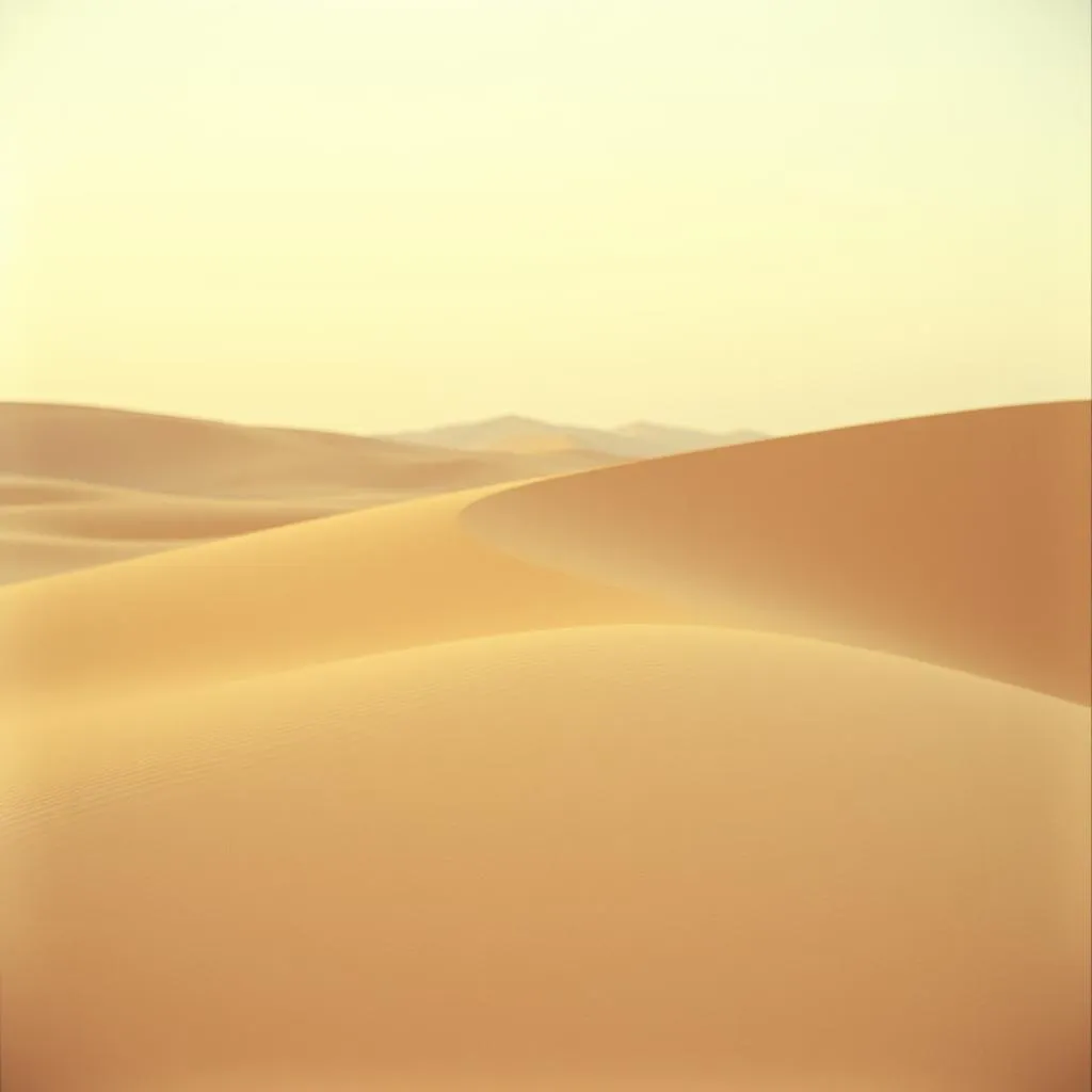 The line in the sand.