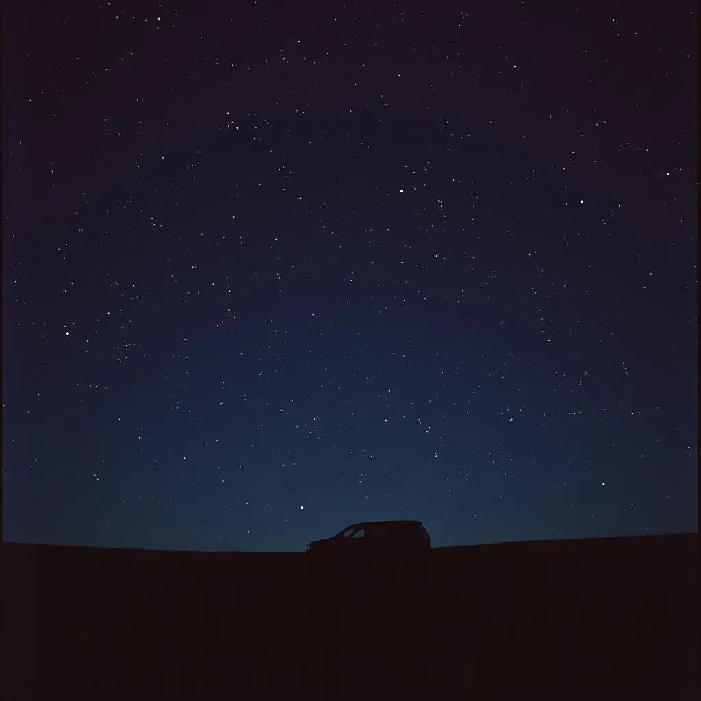 Stars