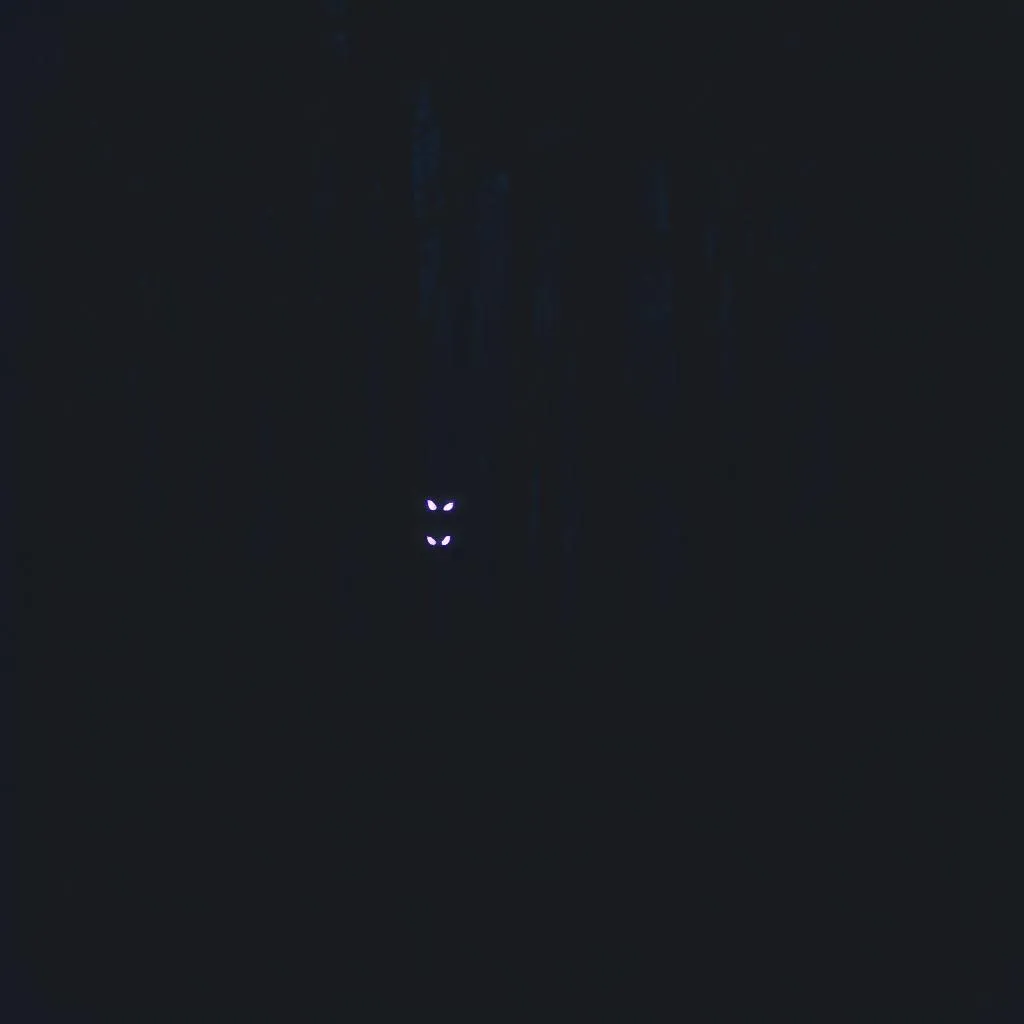 Shadows Inside