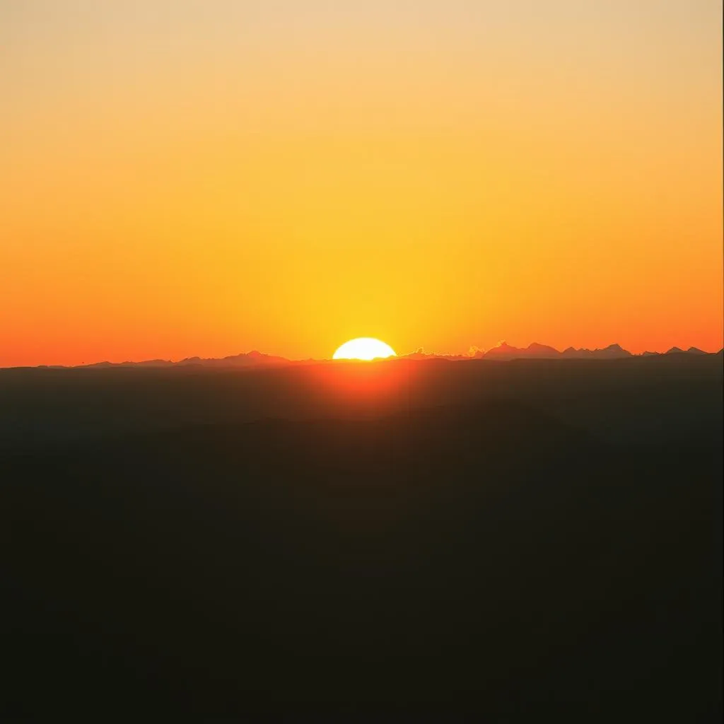 Rise from Shadows