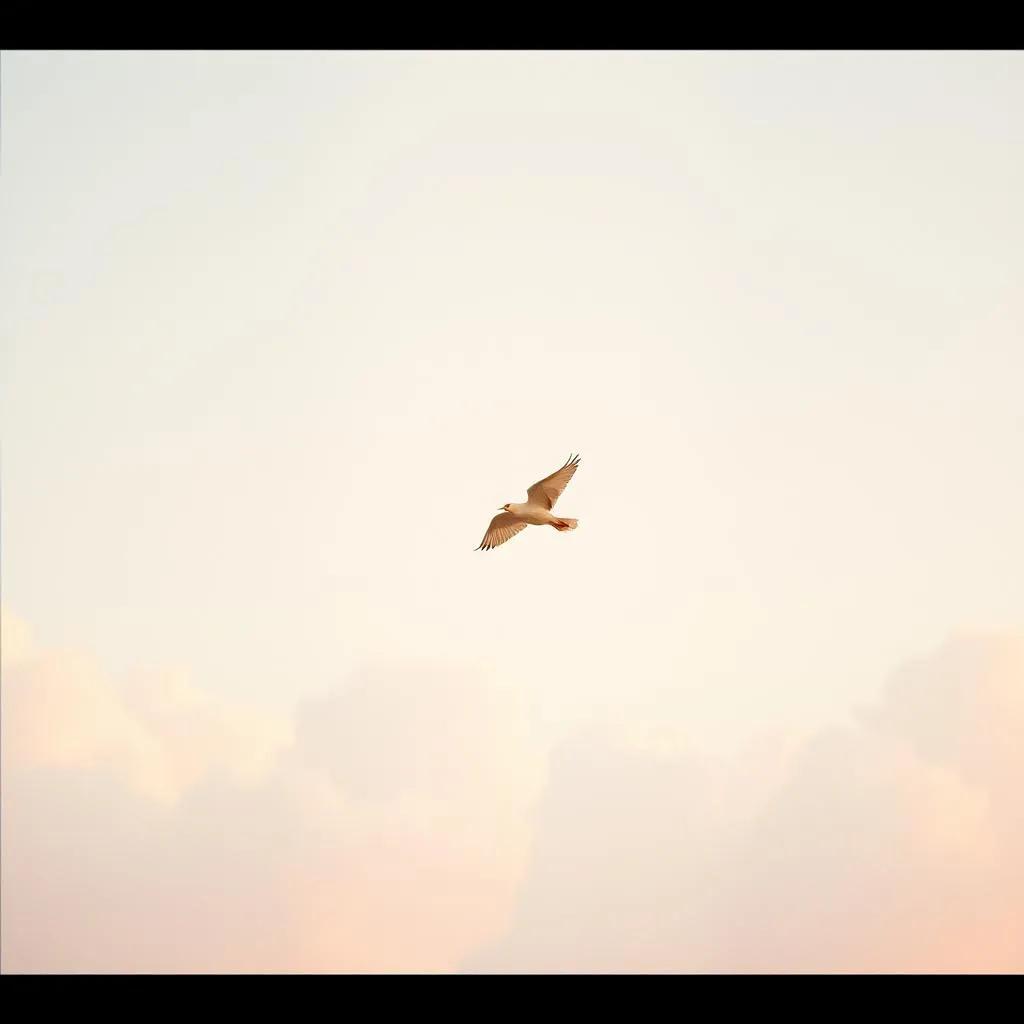 Fly as You Are