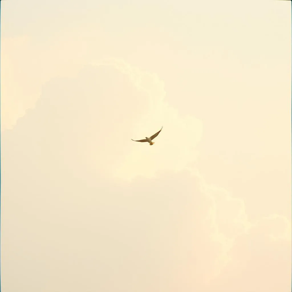 Chasing the air