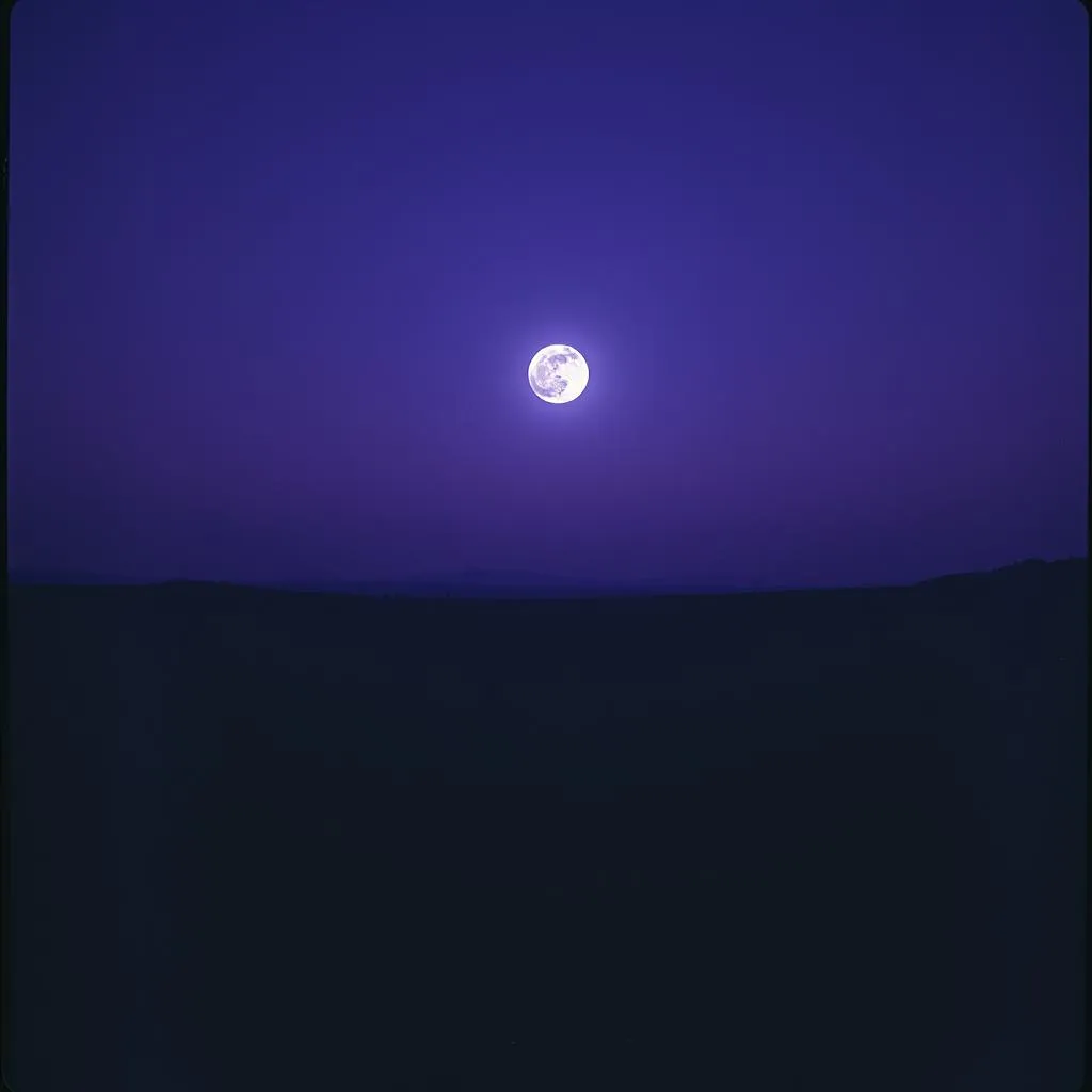 Echoes in the Dark