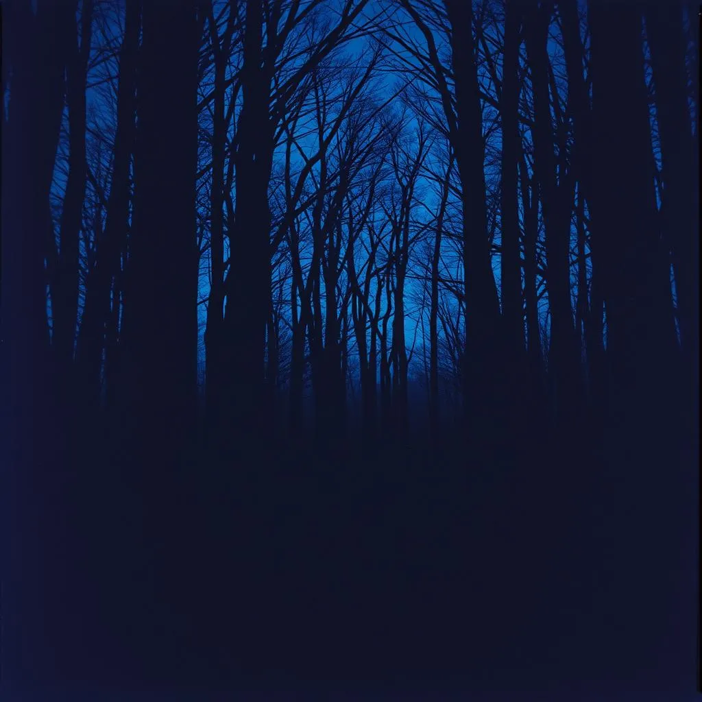 Las sombras