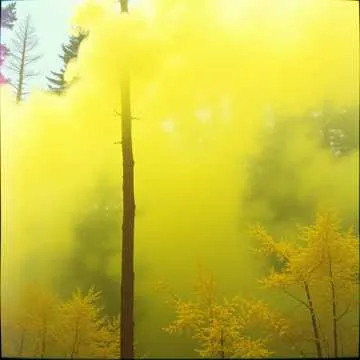 Lost in a haze