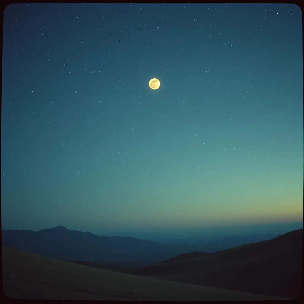 Moonlit Promises