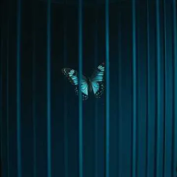 Release Me!!!