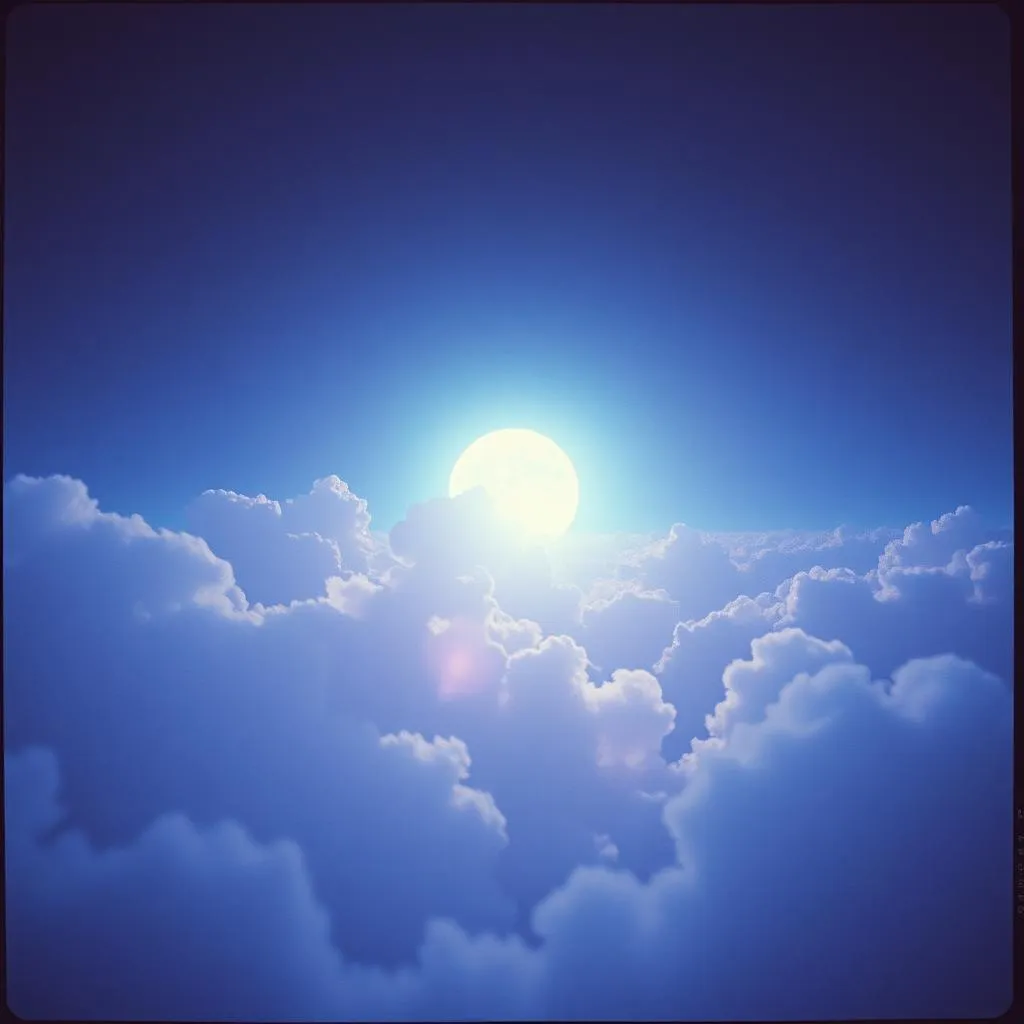 Dreams