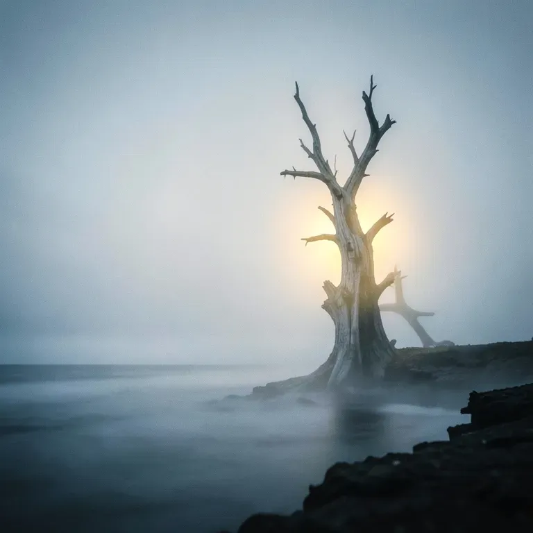 Winds Shift