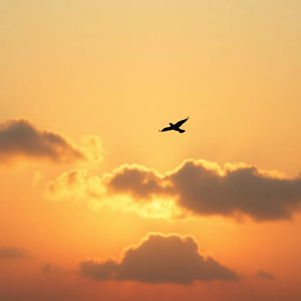 Disappear into the Dawn