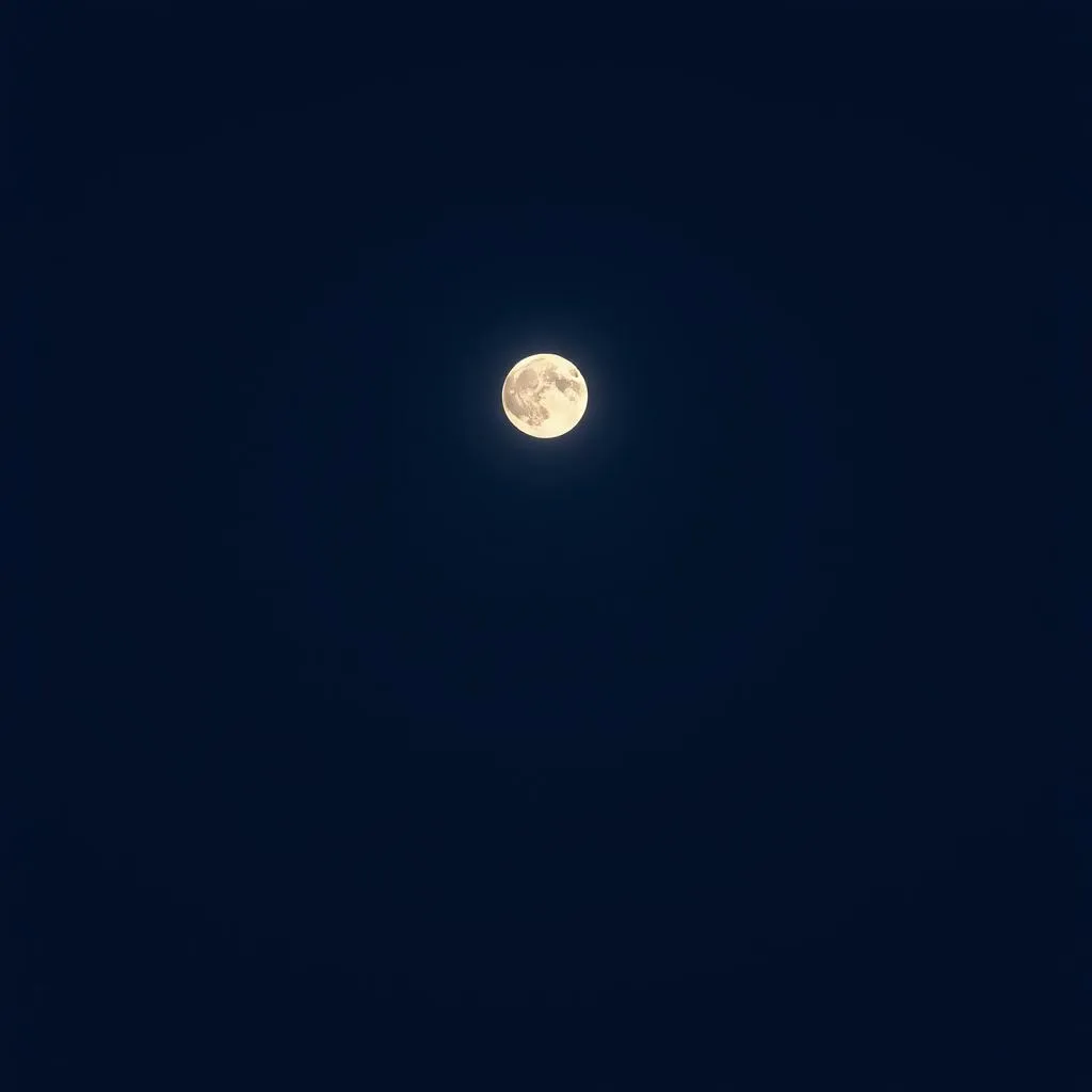 La luna te guiará ami