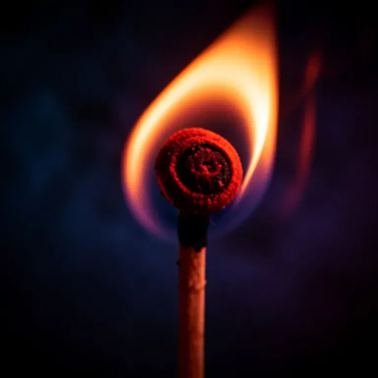 Crash & Burn”
