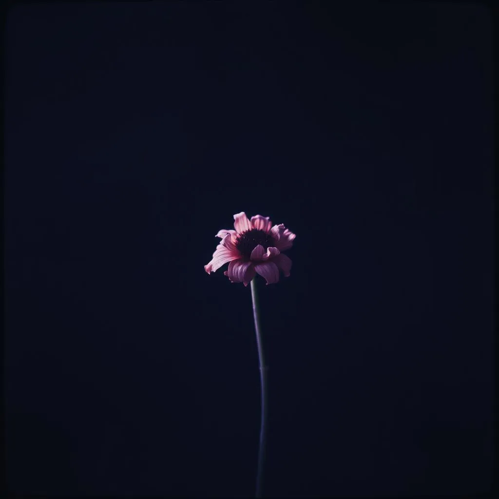 Adieu