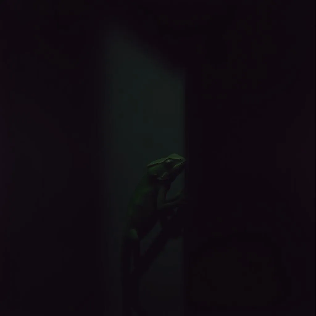 Fading Shadows in the Night