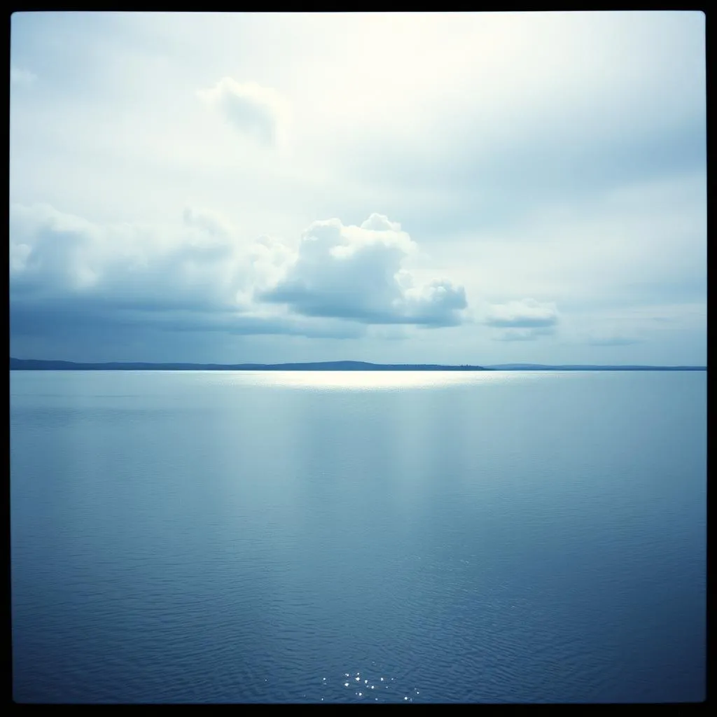 Echoes in Grey