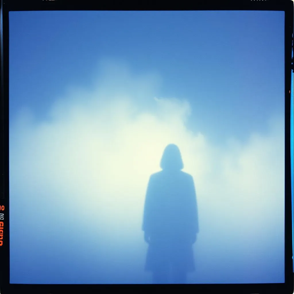 Shadows of You
