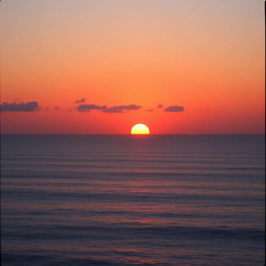 Relax and Rewind