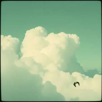 Lost in the haze