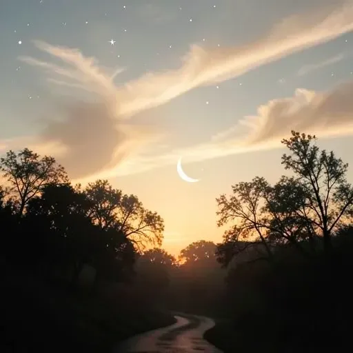 dream the night away