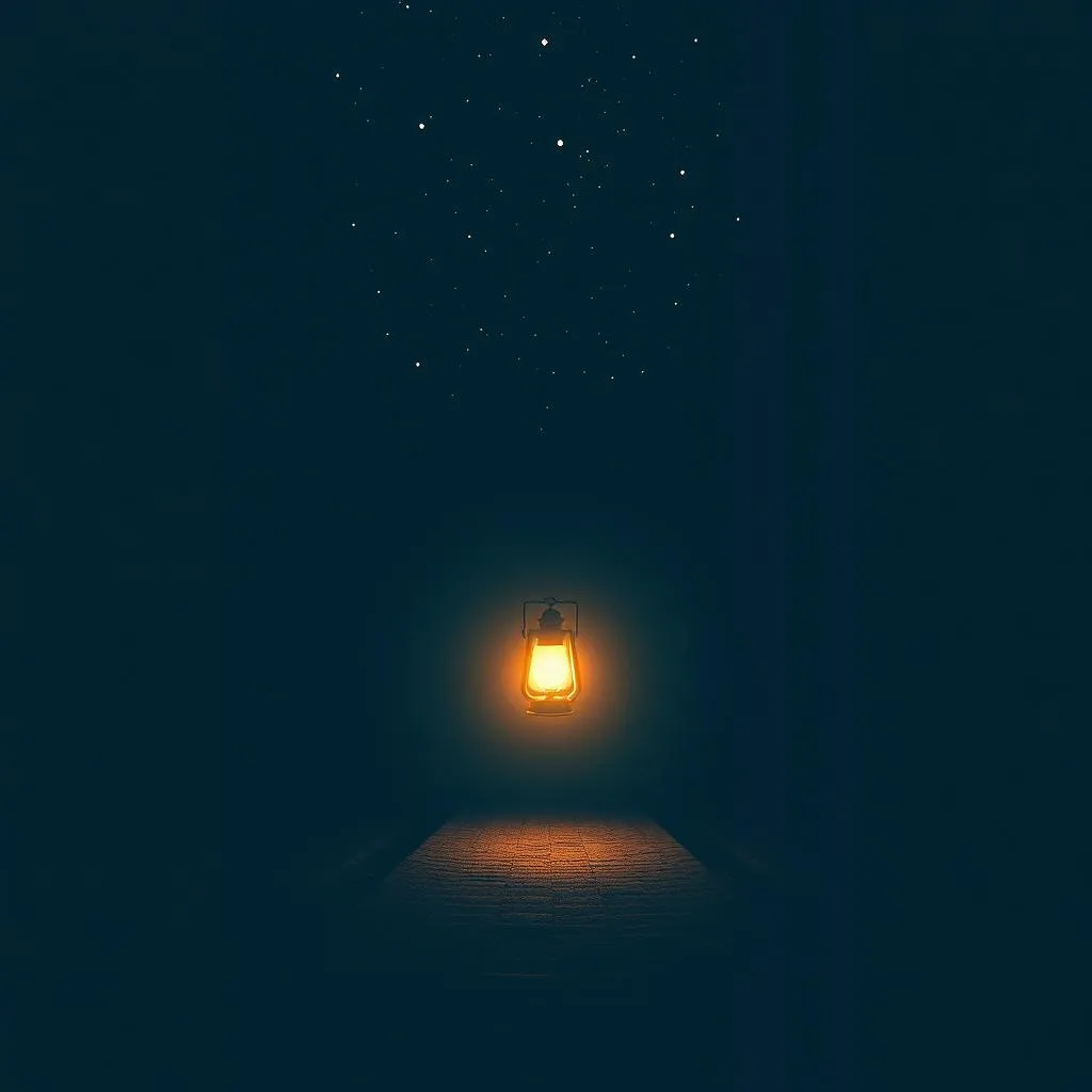 Light in the Night