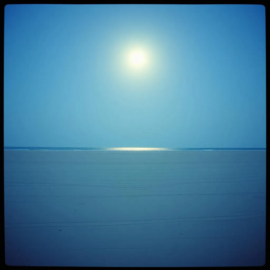 Shattered Echoes