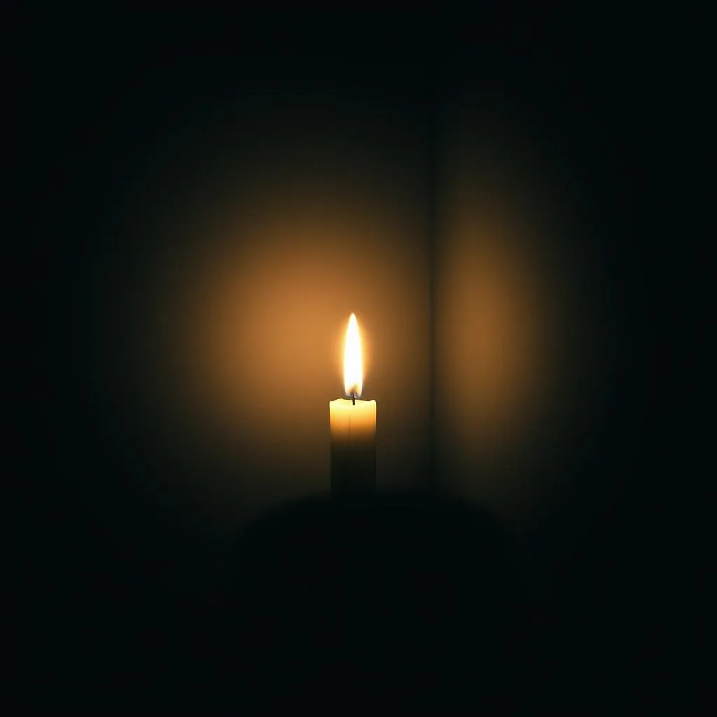 Hold On Through the Dark