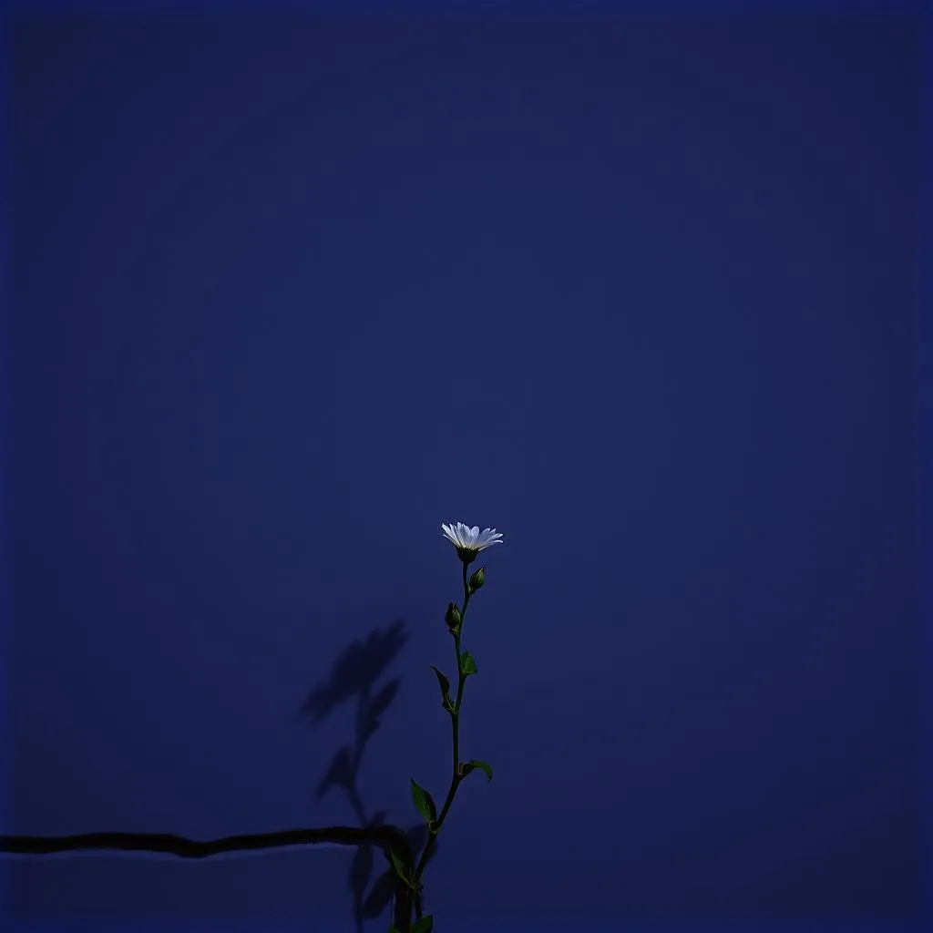 Where Beauty still breathes