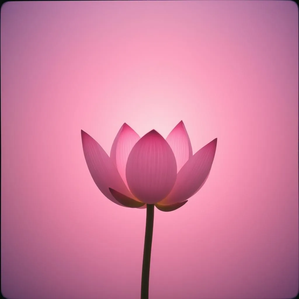 Meta (love) body mediation