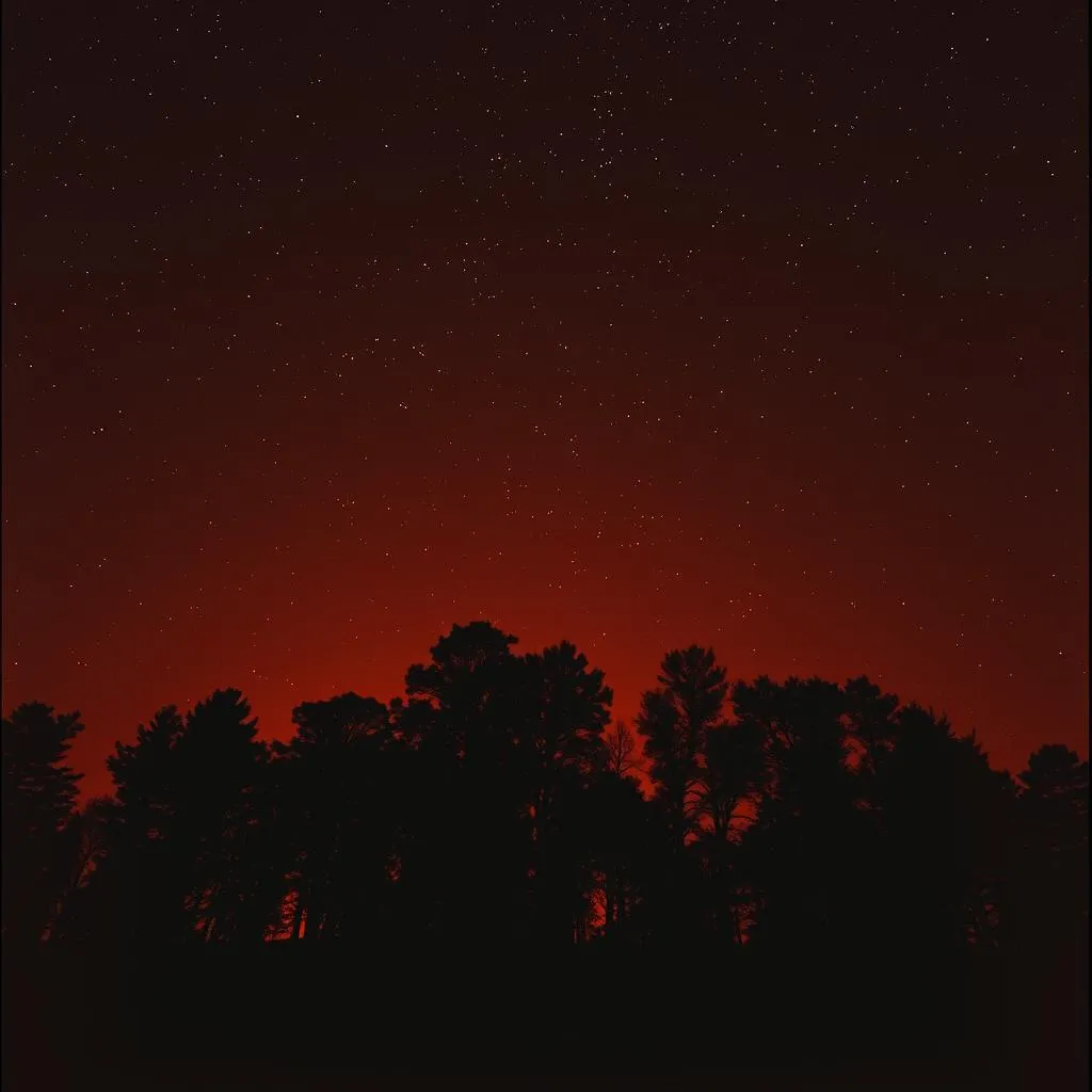 Blazing Trees