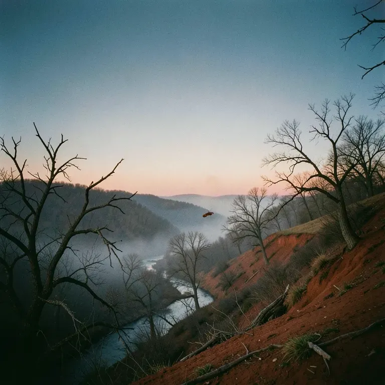 West Virginia in my blood