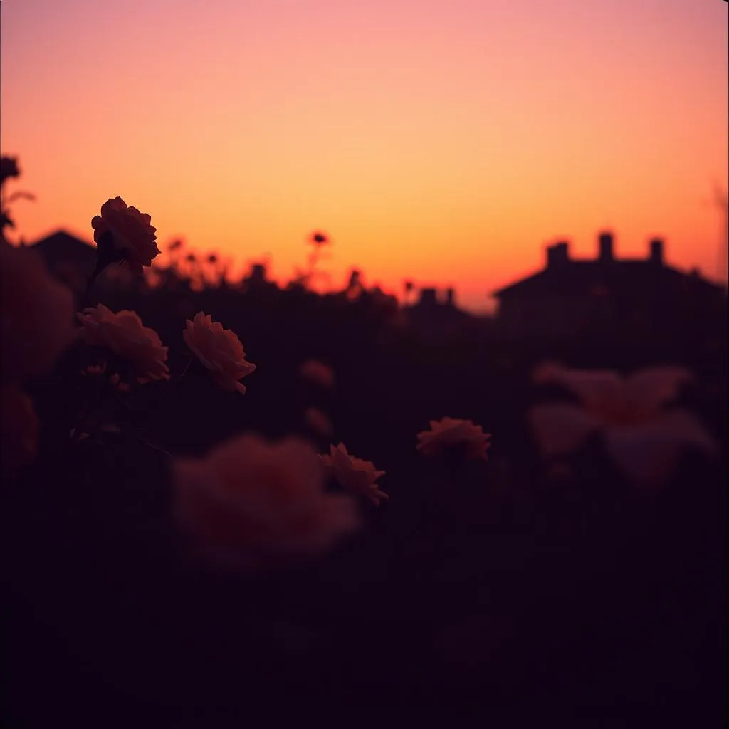 Roses Are Many Colours
