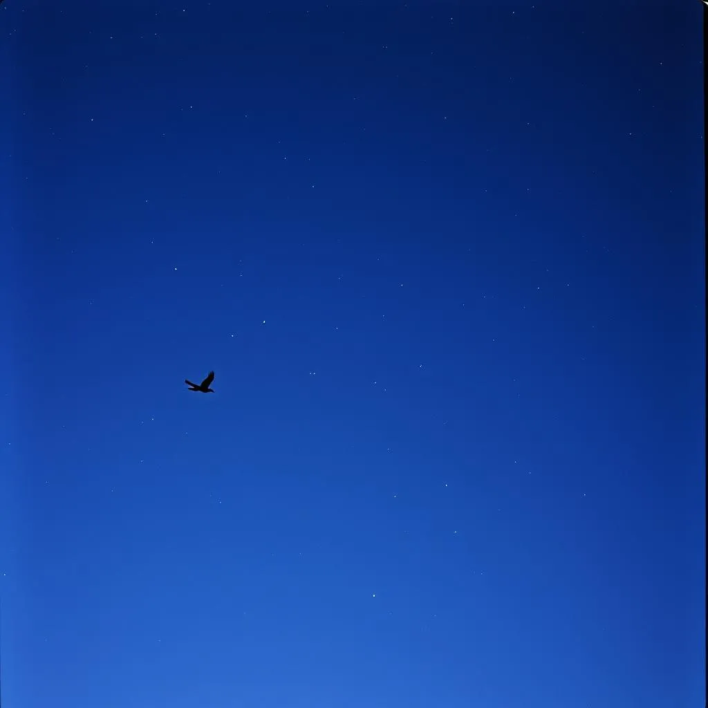 Left on the wing
