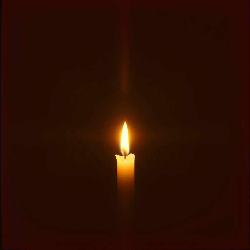 Shadows in the Flame