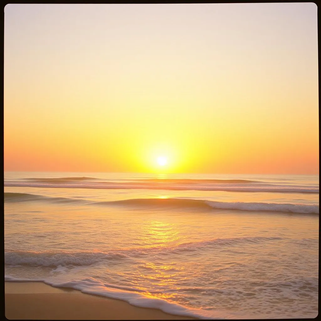 Sonnengeküsst