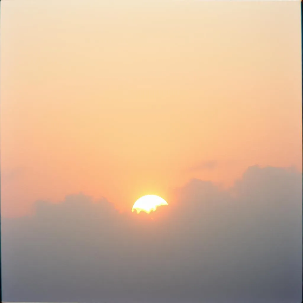 Almost in the sun