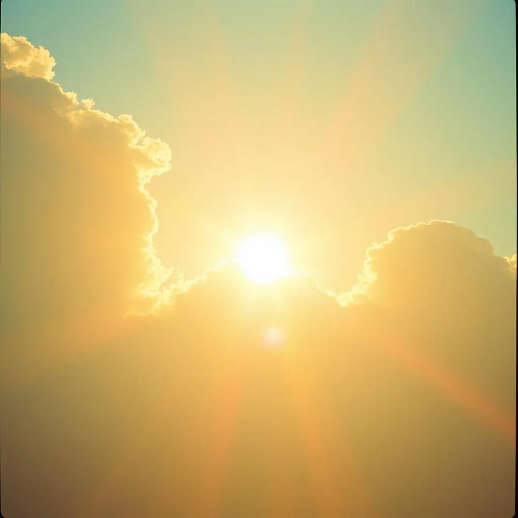 Chasing Sunshine