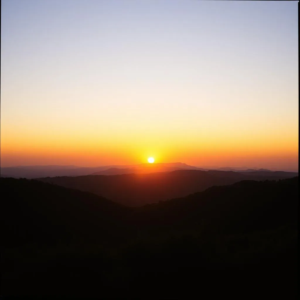 It's a New Dawn