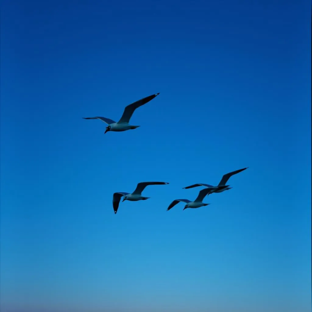Guardians of the Shore
