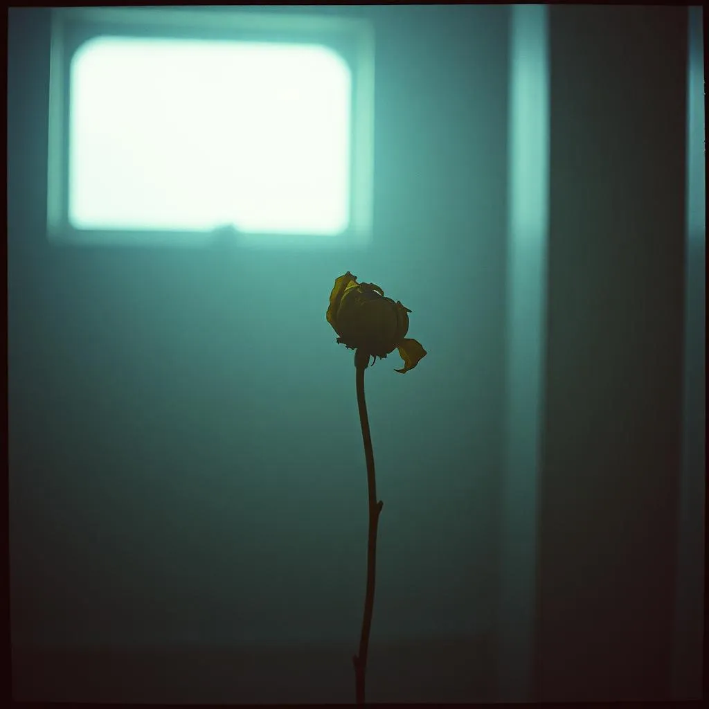 Broken trust