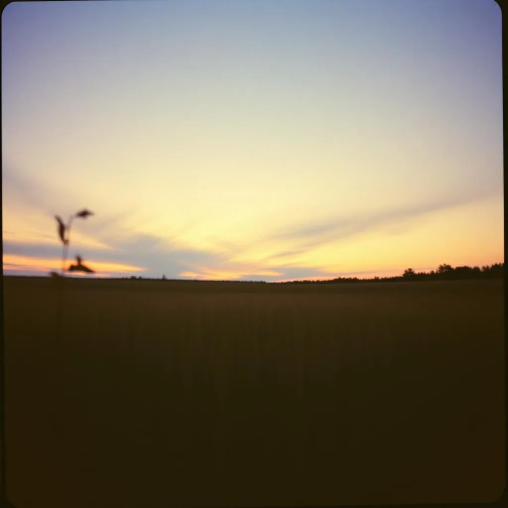 Chained to the Sky