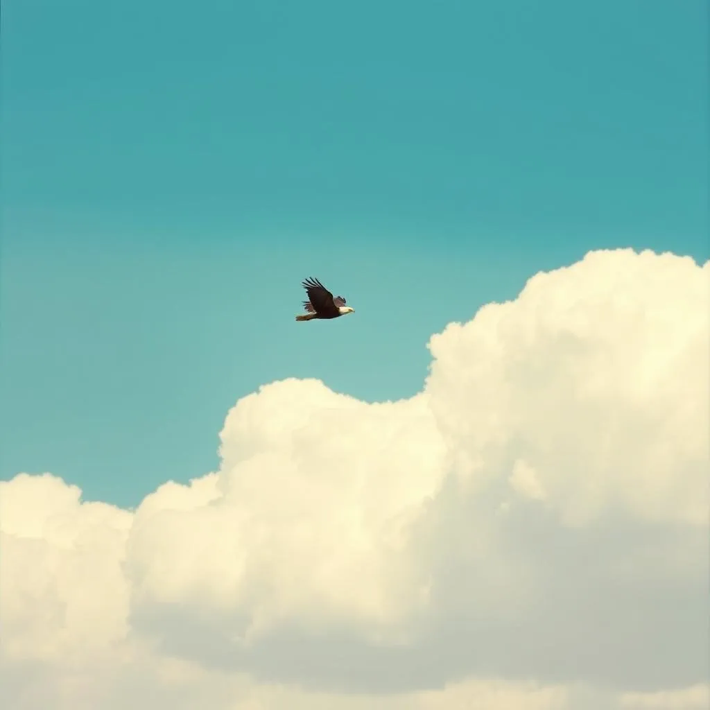 Brother in the Skies
