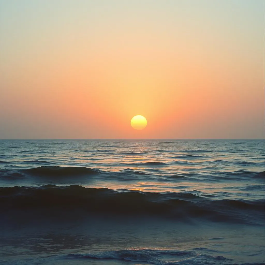 Rise Above