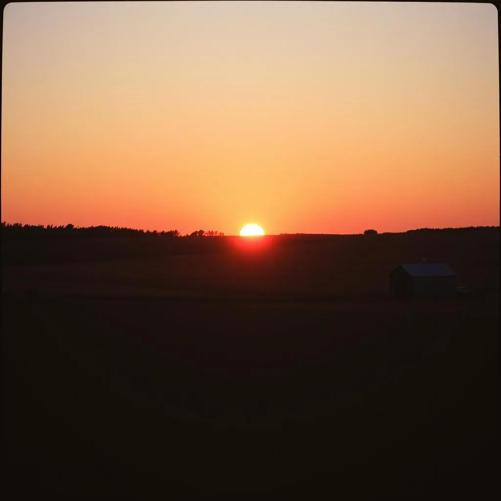 My Love, Our Ranch