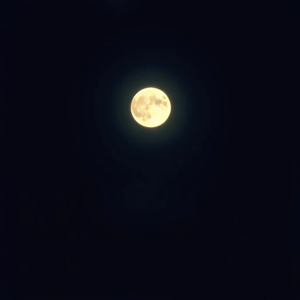 Underneath the Moonlight
