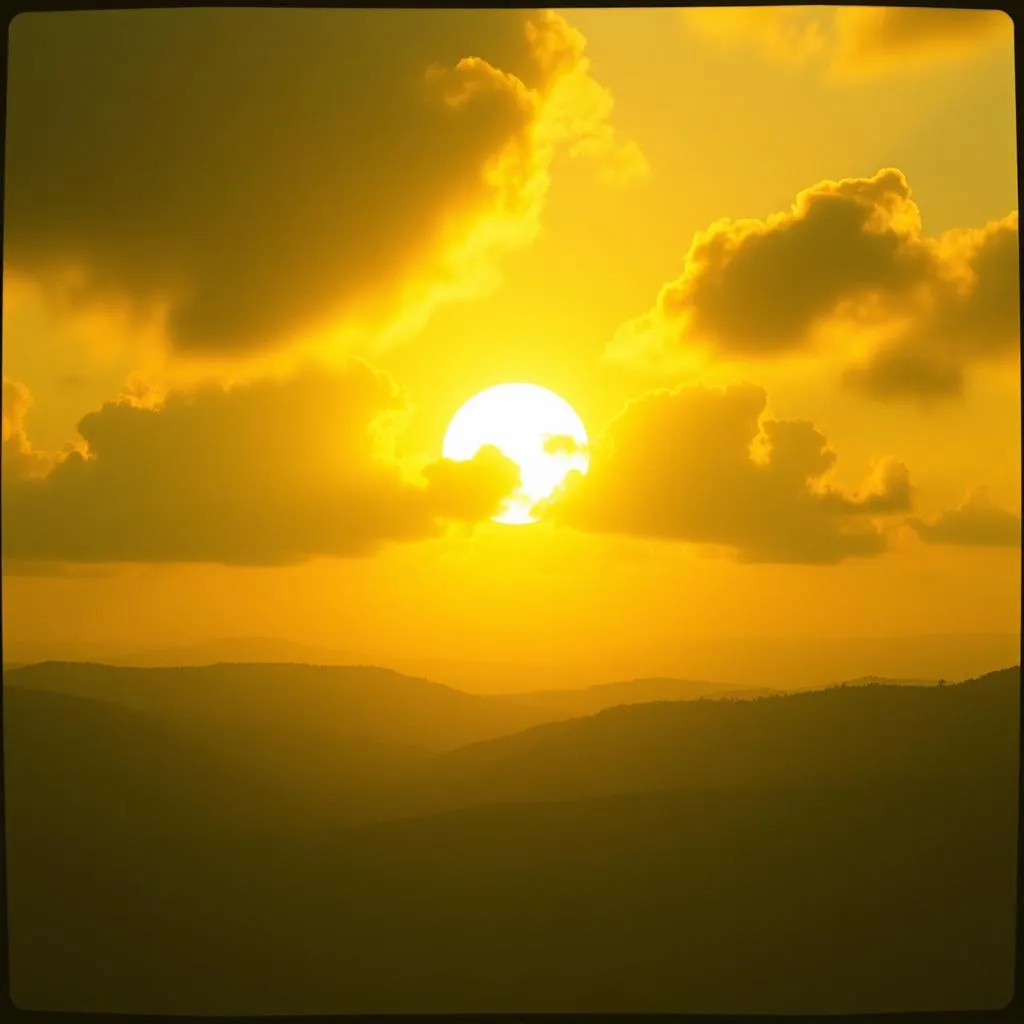 Sun After Rain