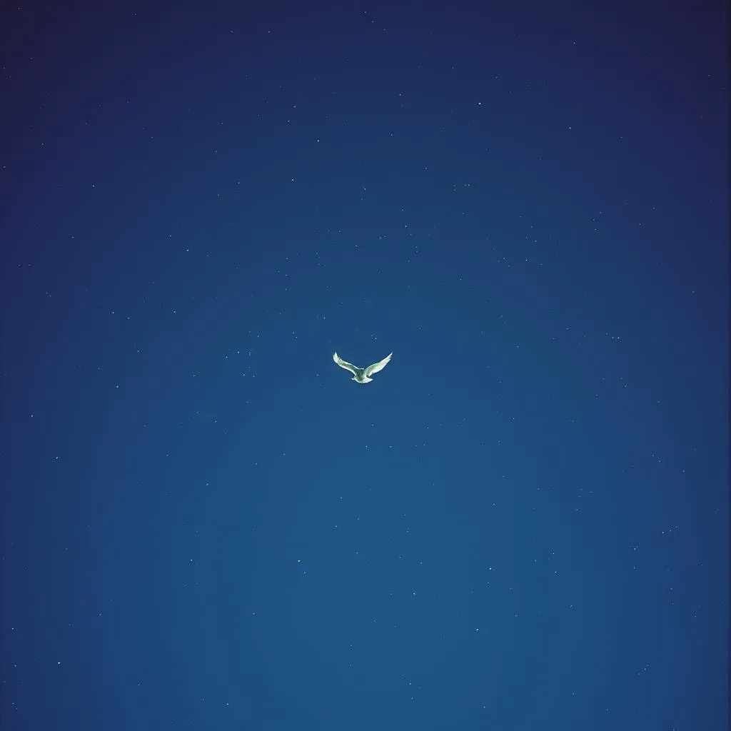 Falling Faster