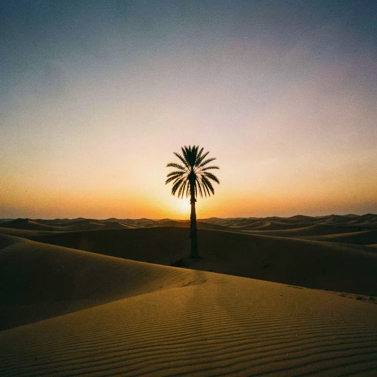 سامحيني يايمّا 7